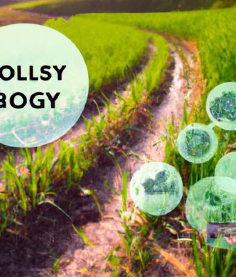 Sustainable Travel: A Guide to Meaningful Exploration