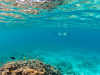Underwater Wonders: A Complete Guide to the World’s Best Snorkeling and Diving Spots Underwater Wonders
